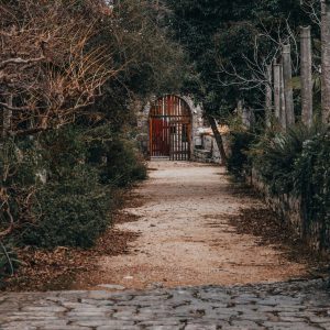 Le guide ultime du jardinage nécessitant peu d’entretien